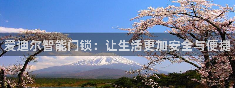 金年会平台是不是大台子：爱迪尔智能门锁：让生活更加安全与便捷