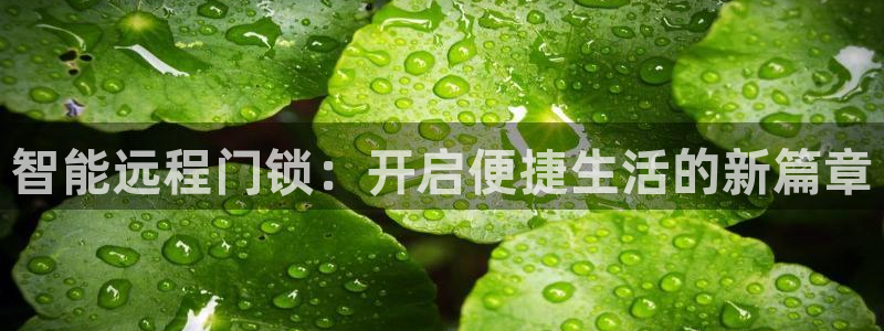 金进年会：智能远程门锁：开启便捷生活的新篇章