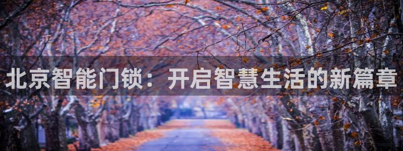 金年会介绍：北京智能门锁：开启智慧生活的新篇章
