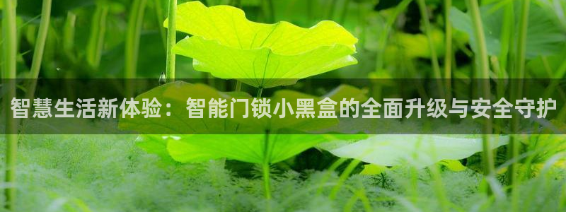 金年会官网地址：智慧生活新体验：智能门锁小黑盒的全面升级与安