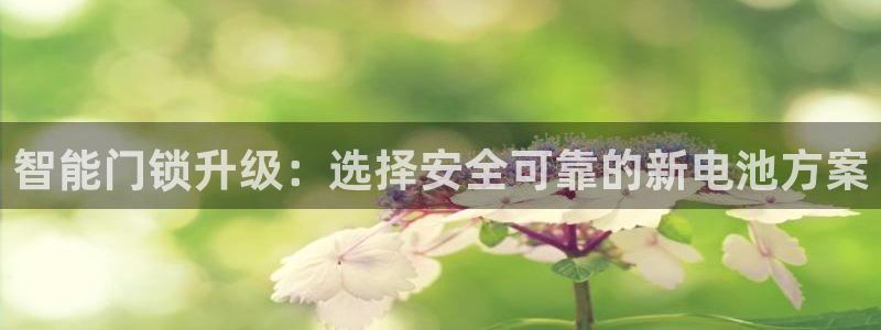 金年会最新登录网站：智能门锁升级：选择安全可靠的新电池方案