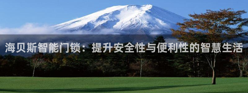 金年会官方网站下载：海贝斯智能门锁：提升安全性与便利性的智慧
