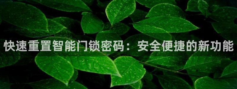 金年会app：快速重置智能门锁密码：安全便捷的新功能