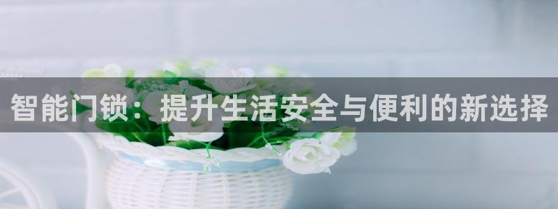 金年会体育app下载：智能门锁：提升生活安全与便利的新选择