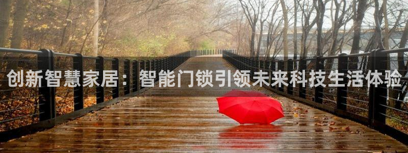 金年会APP下载：创新智慧家居：智能门锁引领未来科技生活体验