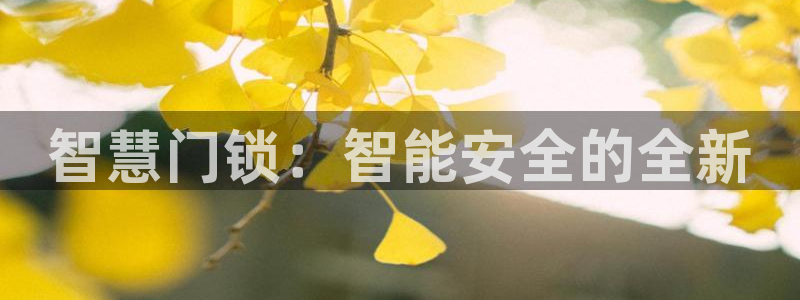金年会和万博：智慧门锁：智能安全的全新