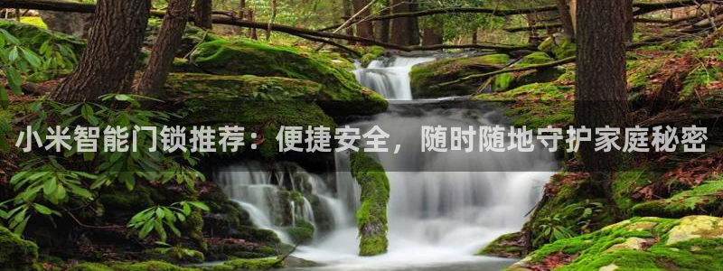 金年会娱乐-平台登录：小米智能门锁推荐：便捷安全，随时随地守