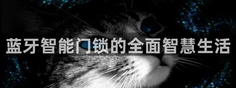 金年会下载：蓝牙智能门锁的全面智慧生活