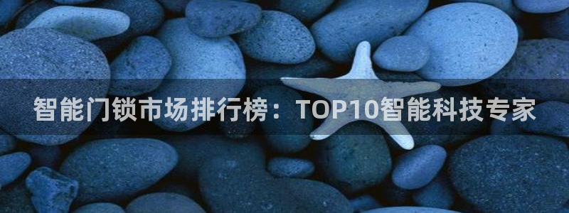 金年会电子游戏app：智能门锁市场排行榜：TOP10智能科技