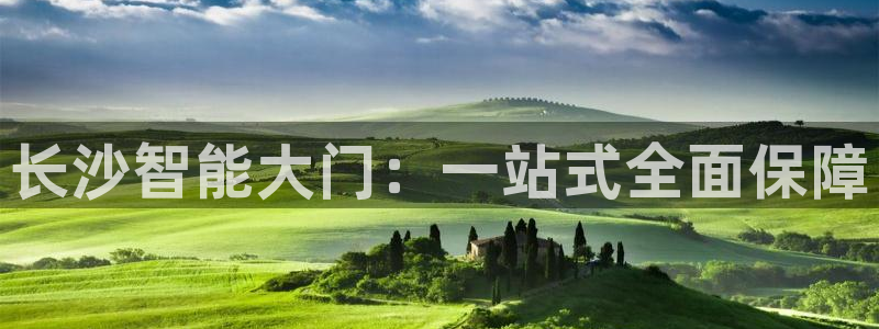 金年会推荐：长沙智能大门：一站式全面保障