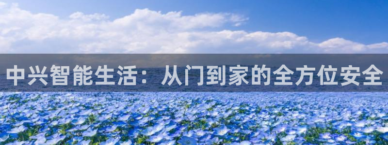 金诚集团年会：中兴智能生活：从门到家的全方位安全