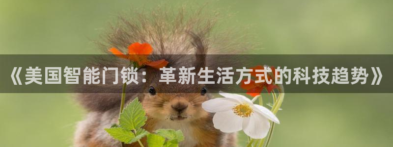 金年会入口：《美国智能门锁：革新生活方式的科技趋势》
