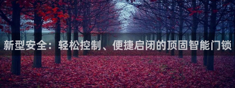 澳门娱乐金年会：新型安全：轻松控制、便捷启闭的顶固智能门锁