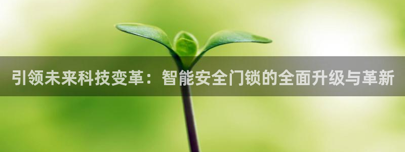 金年会提款慢：引领未来科技变革：智能安全门锁的全面升级与革新