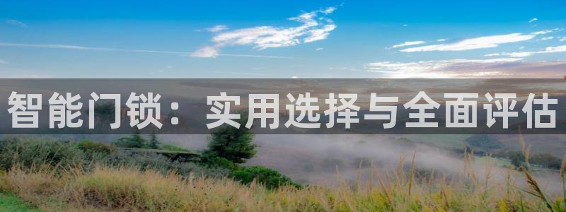 金 金年会：智能门锁：实用选择与全面评估