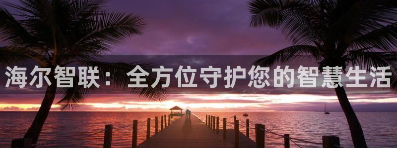 金年会体育官方网站：海尔智联：全方位守护您的智慧生活