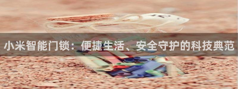 2022金年会：小米智能门锁：便捷生活、安全守护的科技典范