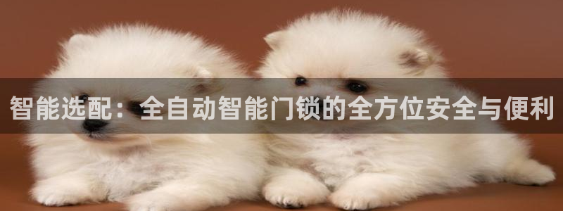 金年会电子游戏app：智能选配：全自动智能门锁的全方位安全与