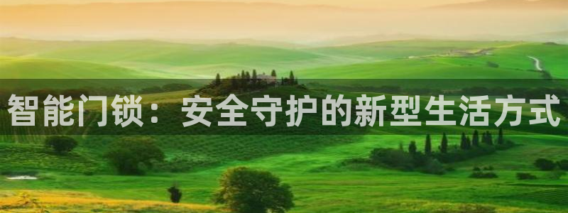 金年会娱乐app：智能门锁：安全守护的新型生活方式