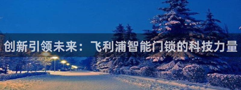 金年会网登录平台入口：创新引领未来：飞利浦智能门锁的科技力量