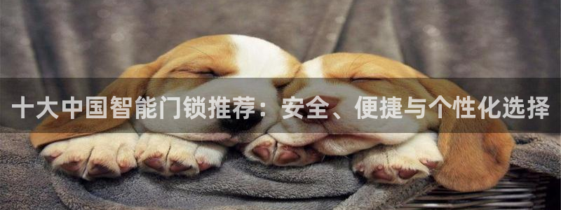 金年会澳门6766：十大中国智能门锁推荐：安全、便捷与个性化