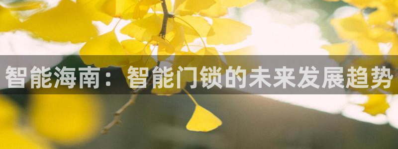 金年会网站：智能海南：智能门锁的未来发展趋势