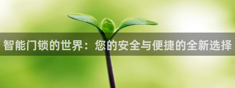 金年会登录：智能门锁的世界：您的安全与便捷的全新选择