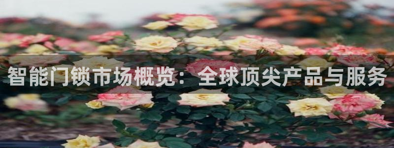 金年会棋牌：智能门锁市场概览：全球顶尖产品与服务