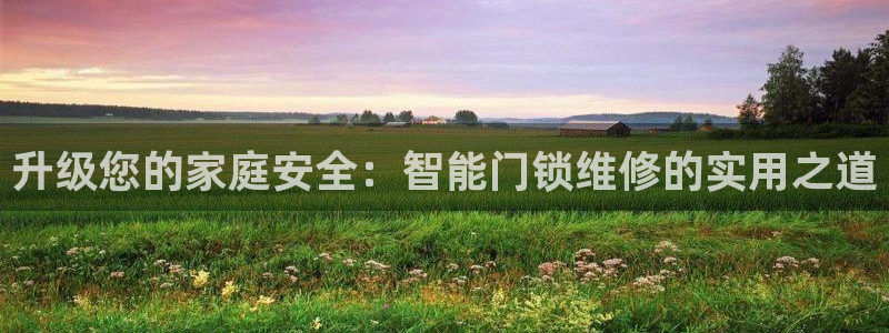金靖年会：升级您的家庭安全：智能门锁维修的实用之道