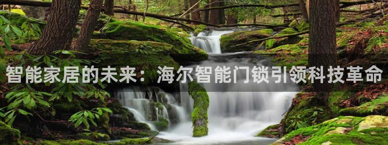 金年会体育官网在线：智能家居的未来：海尔智能门锁引领科技革命