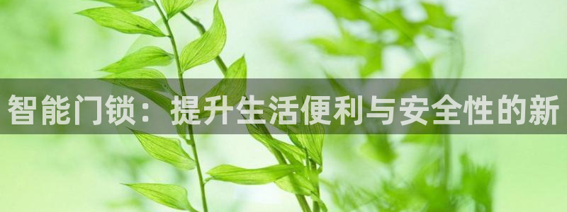 金年会电子：智能门锁：提升生活便利与安全性的新