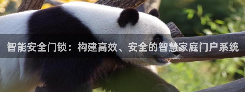 金年会注册官网：智能安全门锁：构建高效、安全的智慧家庭门户系