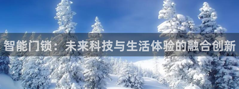 金年会体育：智能门锁：未来科技与生活体验的融合创新