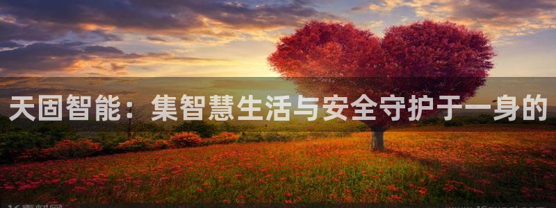 金年会体育下载app：天固智能：集智慧生活与安全守护于一身的