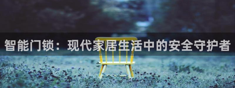 金顶年会：智能门锁：现代家居生活中的安全守护者