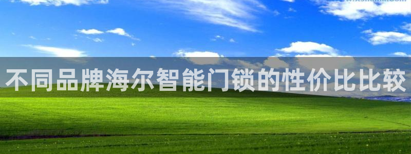 2022金年会：不同品牌海尔智能门锁的性价比比较