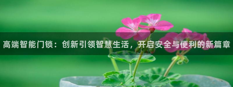 年会金：高端智能门锁：创新引领智慧生活，开启安全与便利的新篇