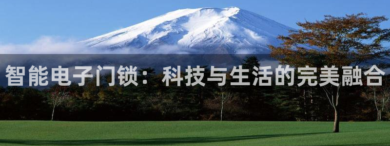 金年会官网地址：智能电子门锁：科技与生活的完美融合