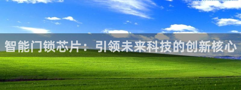 金年会登录：智能门锁芯片：引领未来科技的创新核心
