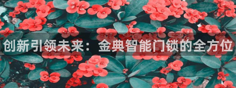 金年会代理：创新引领未来：金典智能门锁的全方位