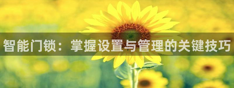 澳门娱乐金年会：智能门锁：掌握设置与管理的关键技巧