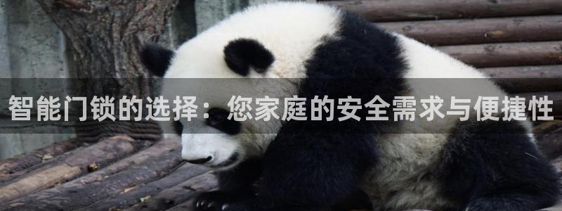 金年会 信誉至上：智能门锁的选择：您家庭的安全需求与便捷性