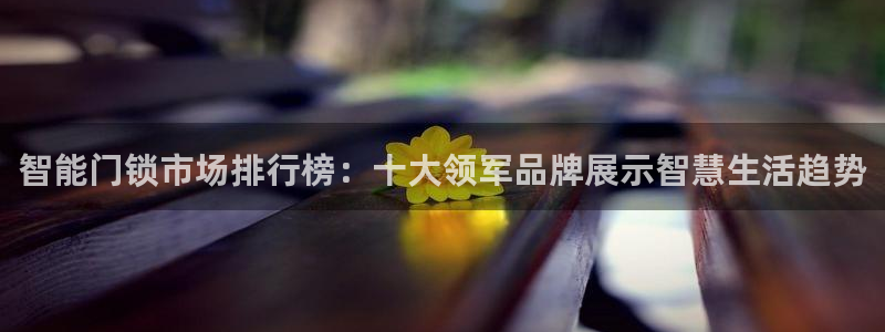 金升年会：智能门锁市场排行榜：十大领军品牌展示智慧生活趋势