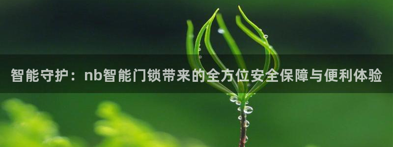 金雅陶瓷年会现场：智能守护：nb智能门锁带来的全方位安全保障