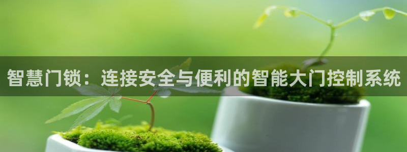 金金年会：智慧门锁：连接安全与便利的智能大门控制系统