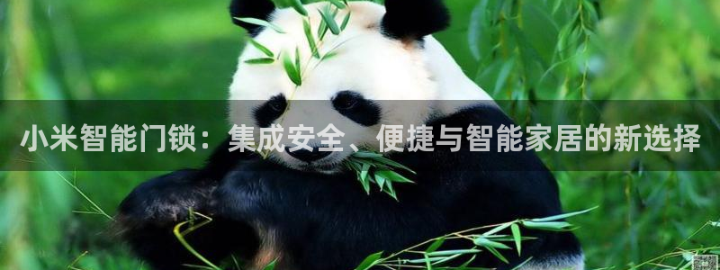 金年会VIP：小米智能门锁：集成安全、便捷与智能家居的新选择