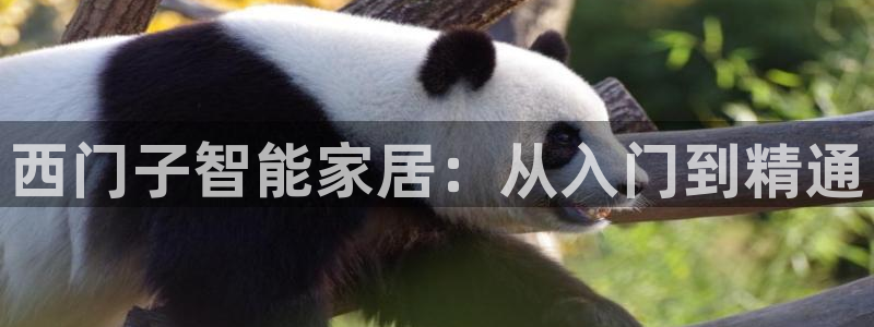 金年会体育平台：西门子智能家居：从入门到精通