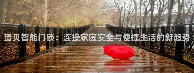 金年会澳门6766：蛋贝智能门锁：连接家庭安全与便捷生活的新