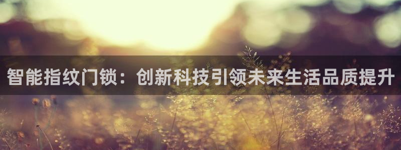2022金年会：智能指纹门锁：创新科技引领未来生活品质提升