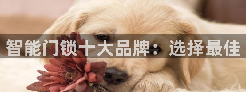 金年会游戏官网：智能门锁十大品牌：选择最佳